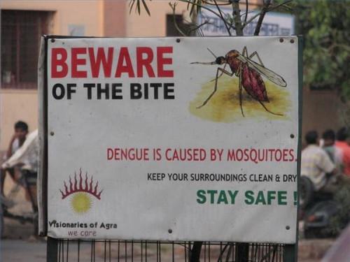 Sobre los Riesgos de viajes y la fiebre del dengue