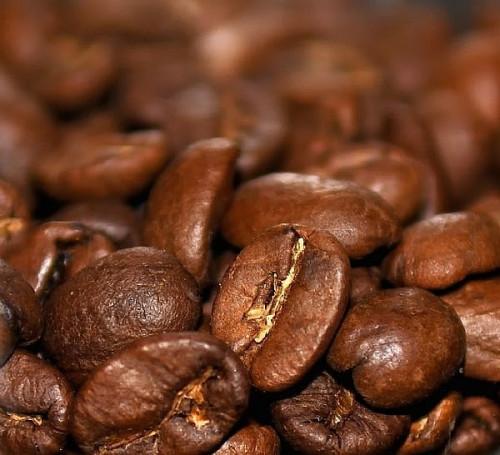 ¿Cómo hacer crecer su propio granos de café orgánico