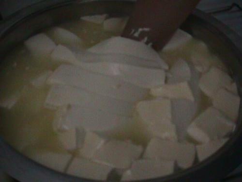 Cómo hacer queso Gouda