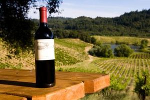 Los mejores lugares en Sonoma para la degustación de vinos