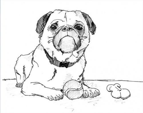 Cómo dibujar un cachorro de Bulldog