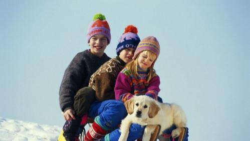 De ¡Qué fría a Purrr: Seguridad para mascotas en invierno
