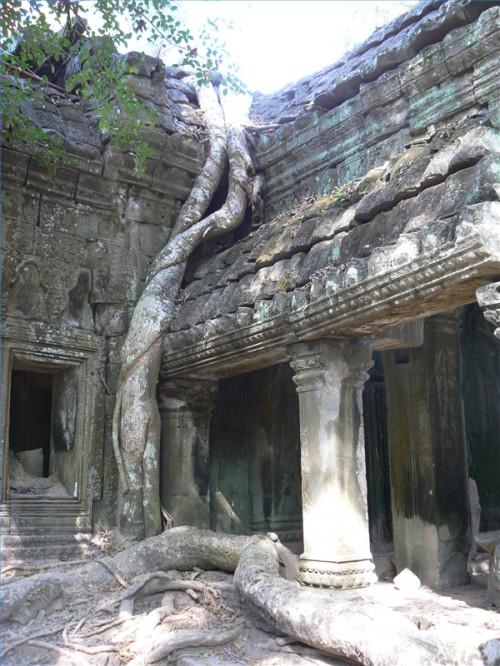 Consejos de Angkor Wat
