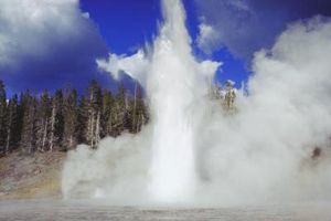 Cómo planificar una vacaciones al Parque Nacional de Yellowstone
