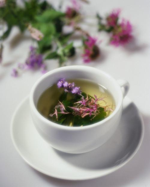 Efectos sobre la salud del té verde
