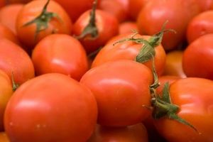 Cómo: tomate condimento salsa