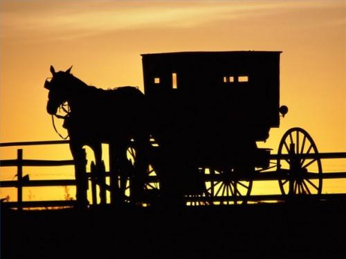 Cómo conducir un Amish Caballo y cochecillo