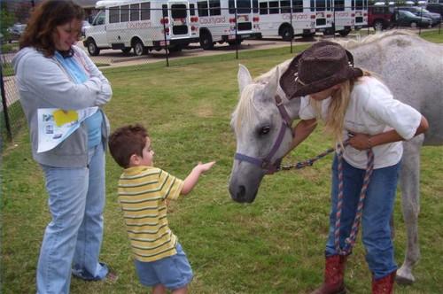Información del caballo para los niños