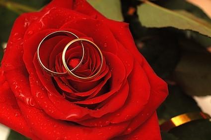 Consejos sobre la compra de los anillos de bodas