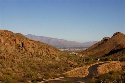 Cómo visitar el Arizona-Sonora Desert Museum