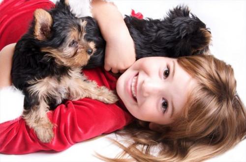 ¿Cómo involucrar a los niños con el cuidado de mascotas
