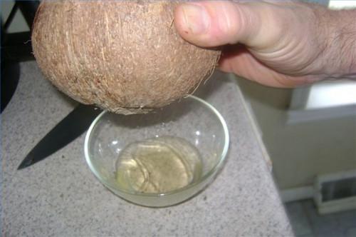 Cómo leche al coco