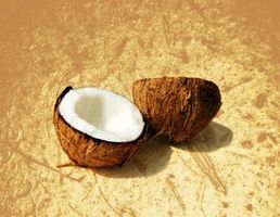 Cómo Humedecer secas de coco Flakes