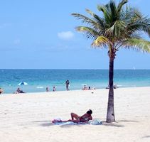 Hoteles en Ft. Lauderdale Beachfront