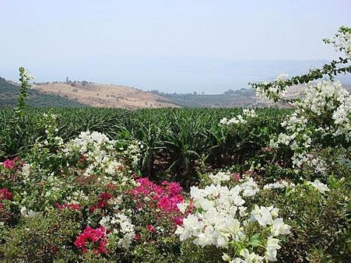 Cómo visitar el monte de las Bienaventuranzas, Israel