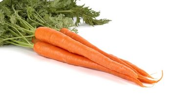 Forma de guardar Zanahorias de cosecha propia