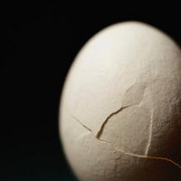 Cómo preparar las claras de huevo de alto valor proteico