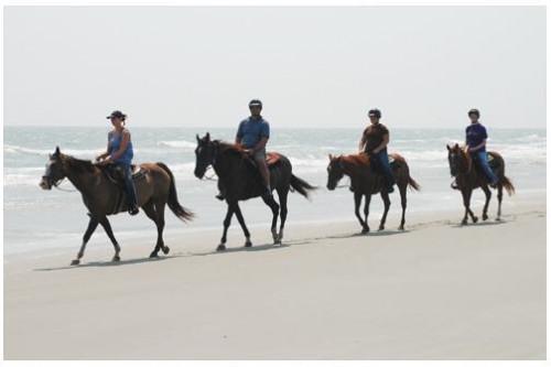 Cómo montar a caballo en Myrtle Beach