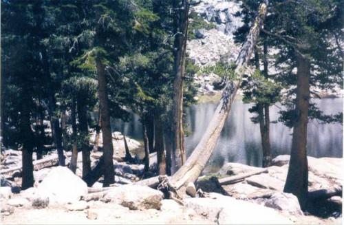 Cómo explorar el Rey Mineral Area del Parque Nacional Sequoia