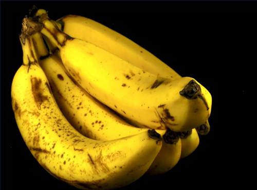 La preservación de los plátanos