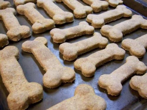 Cómo hacer Snacks para perros en casa