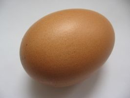 Cómo Hatch un huevo de pájaro sin una incubadora