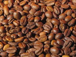 Etapas de crecimiento de la planta de café Kona