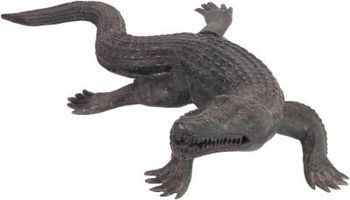 Descripción de un cocodrilo