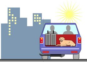 Cómo ayudar a un perro de Ajuste para Moving