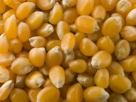 Usos de las palomitas de maíz para palomitas
