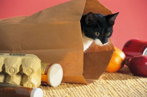 Cómo hacer juguetes para los gatitos de cartón