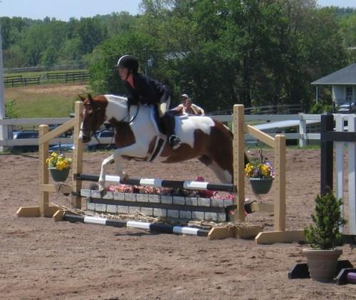 Cómo entrenar a un caballo para saltar