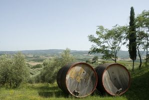 Vineyard Tours en Toscana, Italia