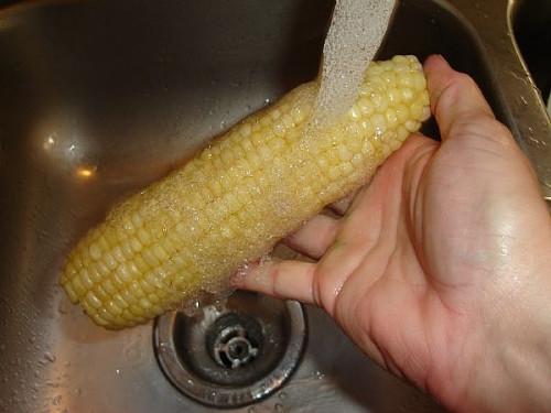 Cómo Blanch y Congelación de maíz dulce en la mazorca