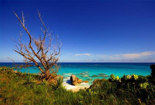Bermuda Viajes y Turismo