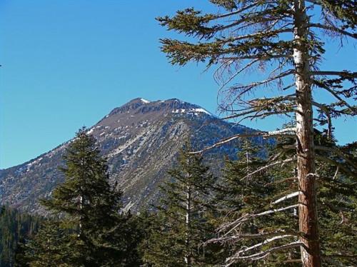 Historia del Monte Rose en las montañas de Sierra Nevada
